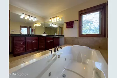 9030 Elm Avenue, Burr Ridge, IL 60527 - Photo 39