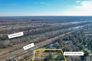 9030 Elm Ave, Burr Ridge, IL 60527 - Photo 65