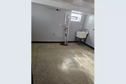 9117 S Wallace Street, Chicago, IL 60620 - Photo 17