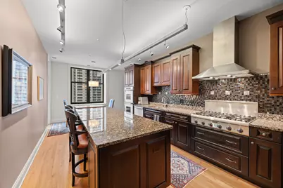 30 W Erie Street #1002, Chicago, IL 60654 - Photo 7