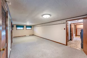 212 Kane Dr, Herrin, IL 62948 - Photo 29