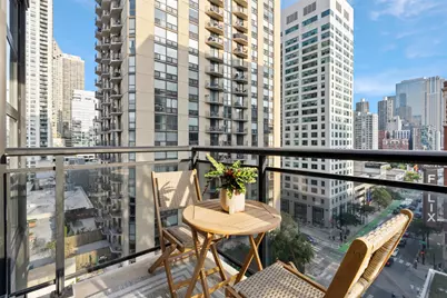 101 W Superior Street #905, Chicago, IL 60654 - Photo 13