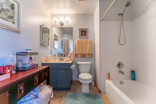 247 Evergreen Cir, Gilberts, IL 60136 - Photo 11