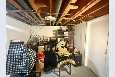 310 N Lafox Street, South Elgin, IL 60177 - Photo 11