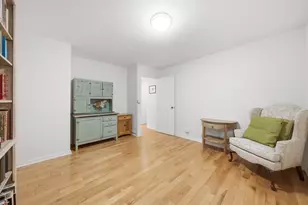 850 N Dewitt Pl, Chicago, IL 60611 - Photo 21