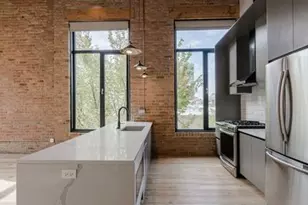 729 N Sangamon St, Chicago, IL 60642 - Photo 3