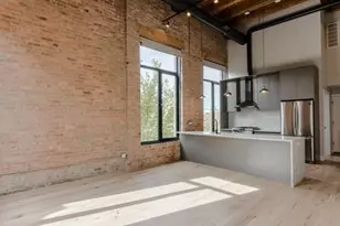 729 N Sangamon St, Chicago, IL 60642 - Photo 9