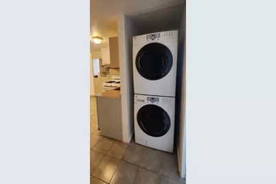 2802 S Lowe Avenue #G, Chicago, IL 60616 - Photo 11