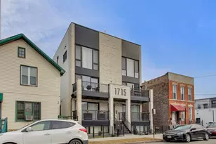 1715 S Morgan St, Chicago, IL 60608 - Photo 3