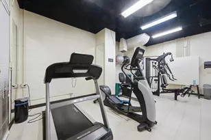 1310 N Ritchie Ct, Chicago, IL 60610 - Photo 25