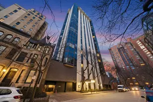 1310 N Ritchie Ct, Chicago, IL 60610 - Photo 29