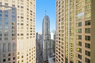 100 E Walton St, Chicago, IL 60611 - Photo 27