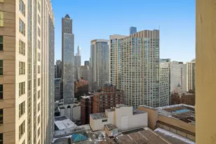 100 E Walton St, Chicago, IL 60611 - Photo 25