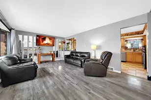 10732 S Meadow Ln, Palos Hills, IL 60465 - Photo 3