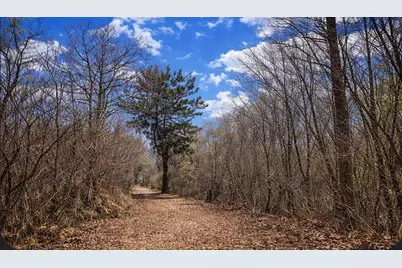 5508 S Stough Street, Hinsdale, IL 60521 - Photo 7