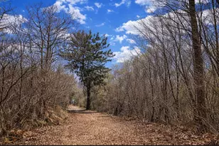 5508 S Stough St, Hinsdale, IL 60521 - Photo 7