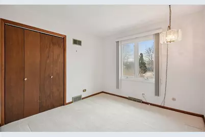 226 White Fawn Trail, Downers Grove, IL 60516 - Photo 29