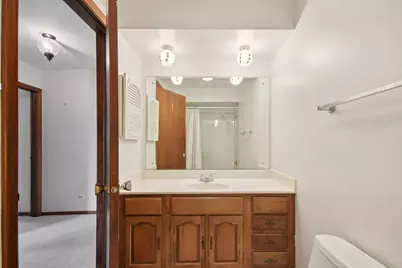 226 White Fawn Trail, Downers Grove, IL 60516 - Photo 35