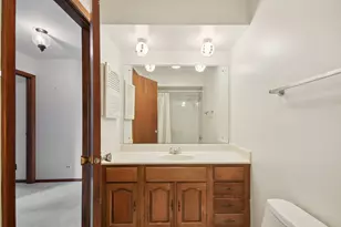 226 White Fawn Trail, Downers Grove, IL 60516 - Photo 35