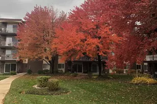 1311 S Finley Rd, Lombard, IL 60148 - Photo 1