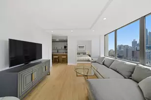 1355 N Sandburg Terrace, Chicago, IL 60610 - Photo 11