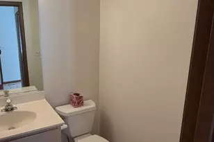 1264 Sandhurst Ln, South Elgin, IL 60177 - Photo 15