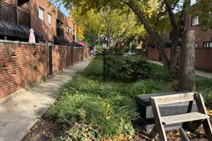 325 N Oak Park Ave, Oak Park, IL 60302 - Photo 47