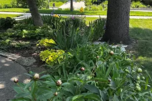 2138 W 109th St, Chicago, IL 60643 - Photo 33