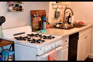 3843 N Greenview Ave, Chicago, IL 60613 - Photo 5