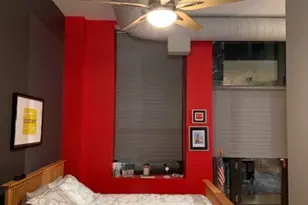 910 S Michigan Ave, Chicago, IL 60605 - Photo 9