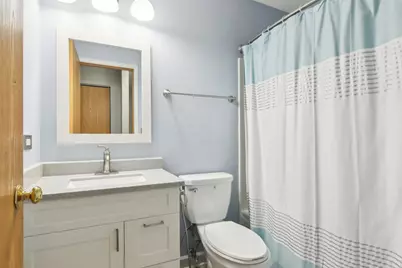 24339 W Apple Tree Lane, Plainfield, IL 60585 - Photo 27