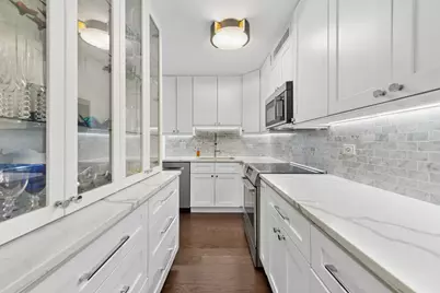 260 E Chestnut Street #3207, Chicago, IL 60611 - Photo 21