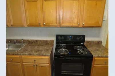 7120 S Eberhart Avenue, Chicago, IL 60619 - Photo 33