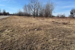 000 Anne Ln, Morris, IL 60450 - Photo 1