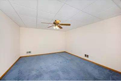 5103 W Park Lane, Monee, IL 60449 - Photo 33