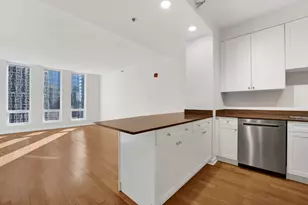 1250 S Michigan Ave, Chicago, IL 60605 - Photo 5