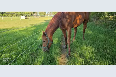 691 N State Route 1 17, Momence, IL 60954 - Photo 29