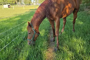 691 N State Route 1 17, Momence, IL 60954 - Photo 29