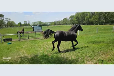 691 N State Route 1 17, Momence, IL 60954 - Photo 37