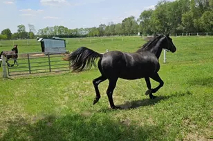 691 N State Route 1 17, Momence, IL 60954 - Photo 37