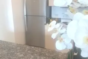 512 N McClurg Ct, Chicago, IL 60611 - Photo 9