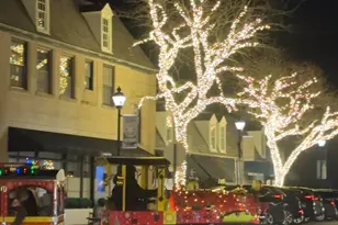 315 Hawthorn Ave, Glencoe, IL 60022 - Photo 23