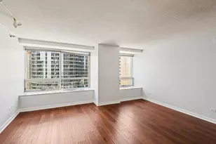 512 N McClurg Ct, Chicago, IL 60611 - Photo 5