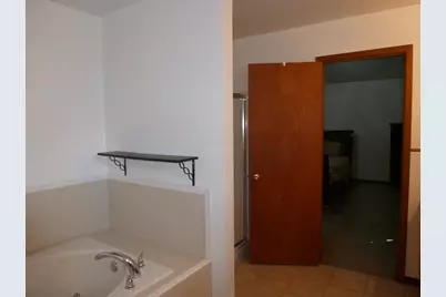 16212 Trumbull Avenue, Markham, IL 60428 - Photo 17