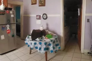 4234 W Congress Pkwy, Chicago, IL 60624 - Photo 19