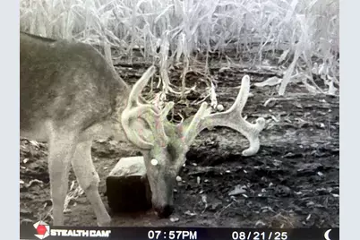 4763 State Route 127 Highway N, Cobden, IL 62920 - Photo 41