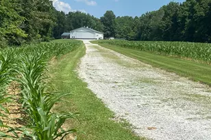 4763 State Route 127 Hwy N, Cobden, IL 62920 - Photo 35