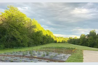 4763 State Route 127 Highway N, Cobden, IL 62920 - Photo 39