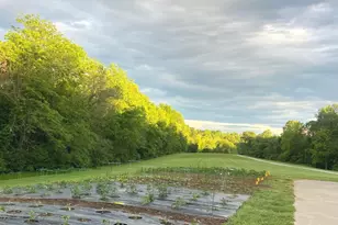 4763 State Route 127 Hwy N, Cobden, IL 62920 - Photo 39