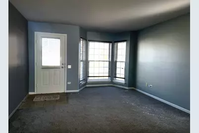 295 Chrisman Drive, Streamwood, IL 60107 - Photo 3